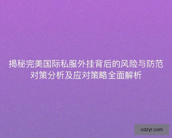 揭秘完美国际私服外挂背后的风险与防范对策分析及应对策略全面解析