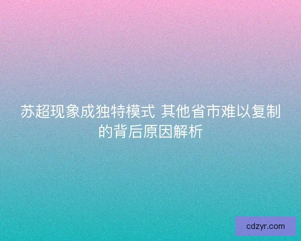 苏超现象成独特模式 其他省市难以复制的背后原因解析