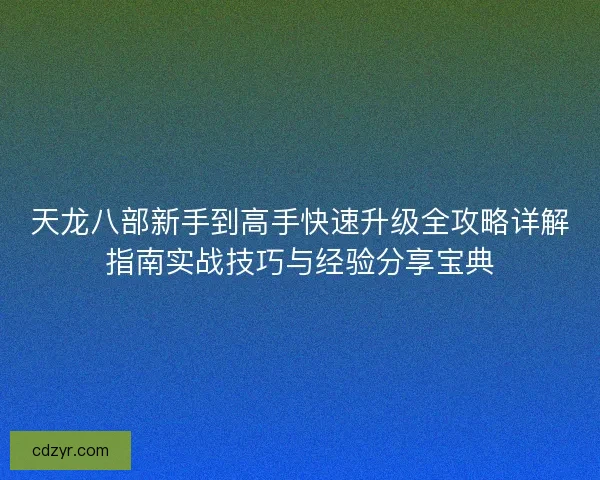 天龙八部新手到高手快速升级全攻略详解指南实战技巧与经验分享宝典