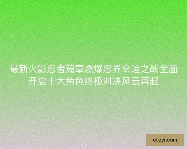 最新火影忍者篇章燃爆忍界命运之战全面开启十大角色终极对决风云再起
